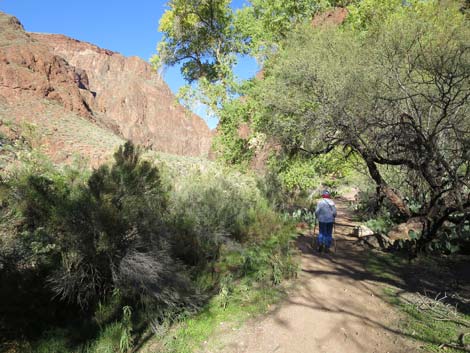 North Kaibab Trail