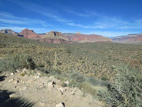 Plateau Point Trail