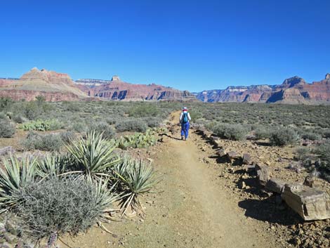 Plateau Point Trail