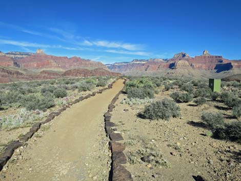 Plateau Point Trail