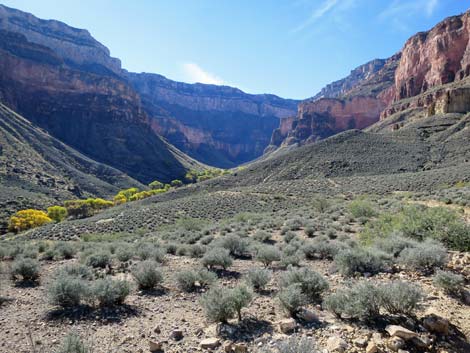 Plateau Point Trail