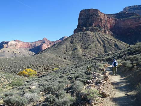 Plateau Point Trail