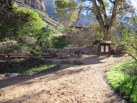 Plateau Point Trail