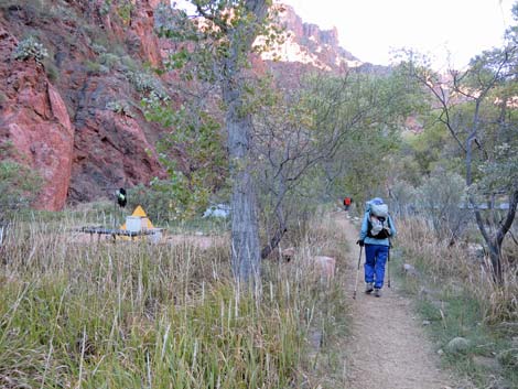 Bright Angel Trail