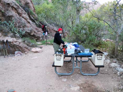 Bright Angel Trail