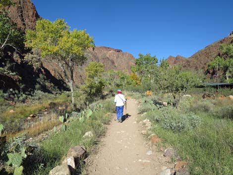 Bright Angel Trail