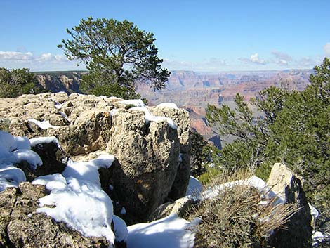 Grand Canyon National Park