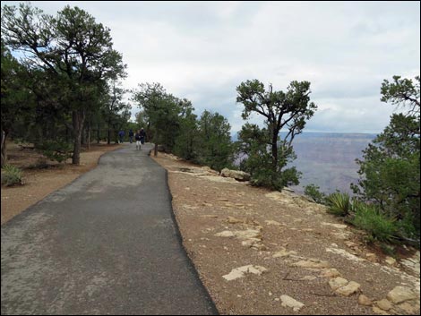 Rim Trail