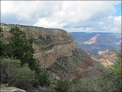 Rim Trail