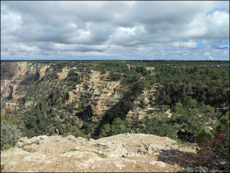 Rim Trail