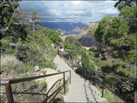 Rim Trail