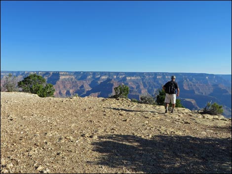 Rim Trail