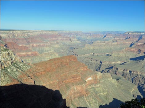 Rim Trail