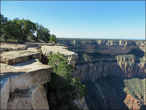 Rim Trail