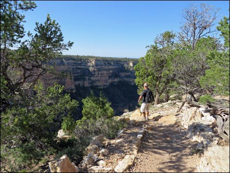 Rim Trail