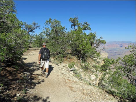 Rim Trail