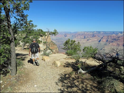 Rim Trail