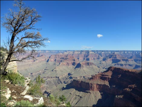 Rim Trail