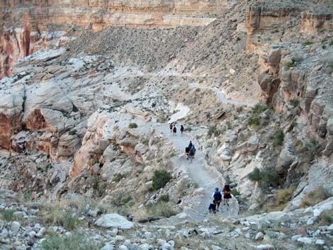 Havasu Canyon Trail