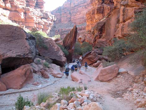 Havasu Canyon Trail