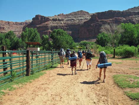 Havasu Canyon Trail