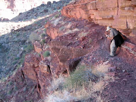 Tonto East Trail