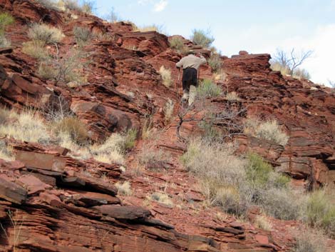 Tonto East Trail