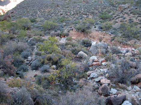 Tonto East Trail