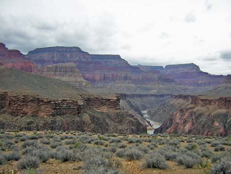 Tonto West Trail