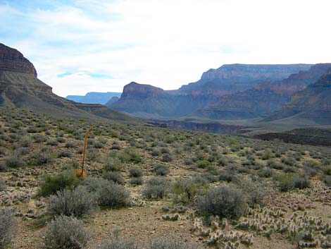 Tonto West Trail