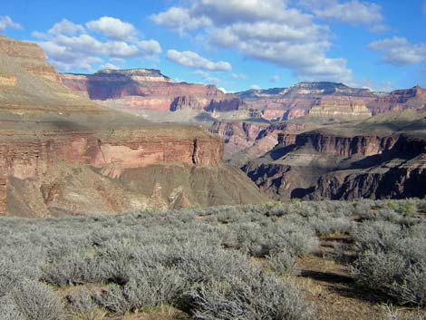 Tonto West Trail