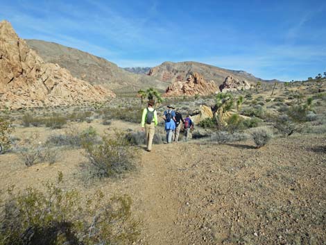 Doodlebug Arch