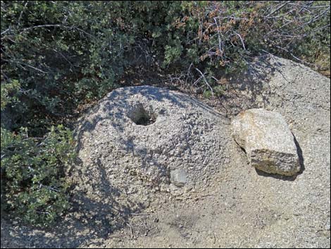 Granite Spring Arrastra