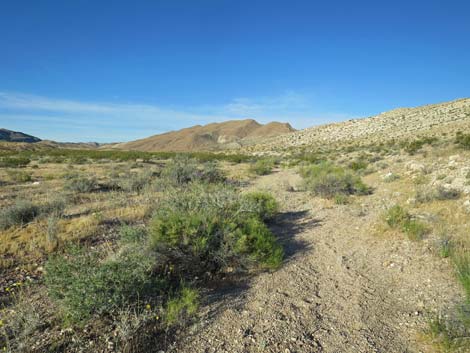 Bauer Mine