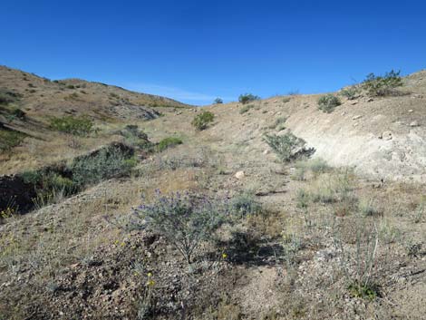 Bauer Mine