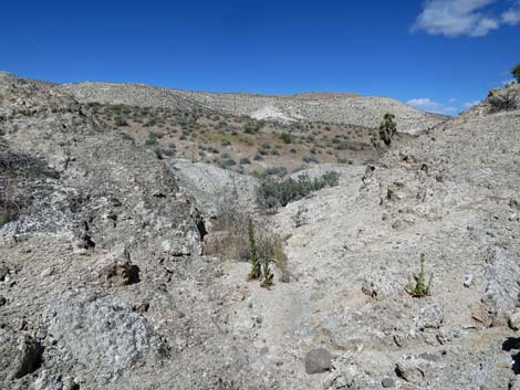 Bauer Mine