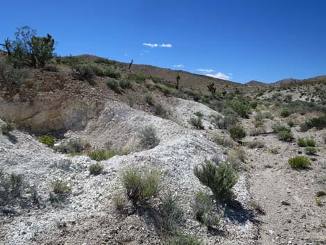 Bauer Mine