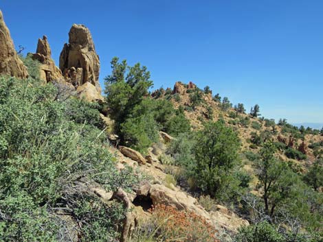 Billy Goat Peak