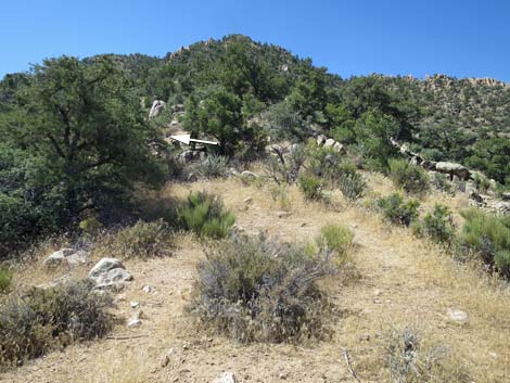 Billy Goat Peak