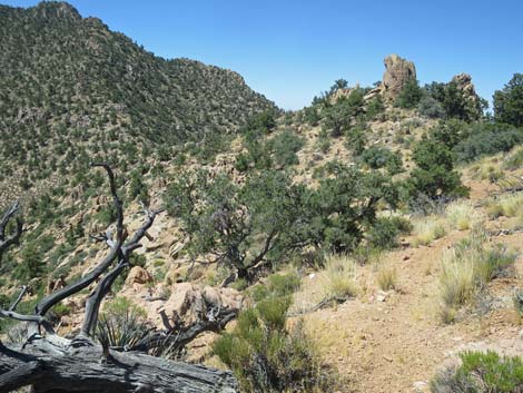 Billy Goat Peak