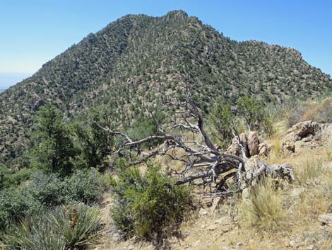 Billy Goat Peak