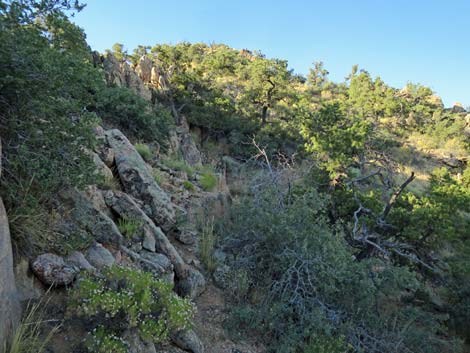 Billy Goat Peak