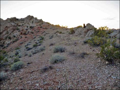 Black Butte Peak