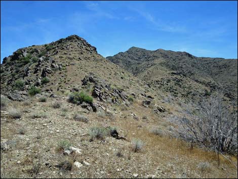 Bonelli Peak