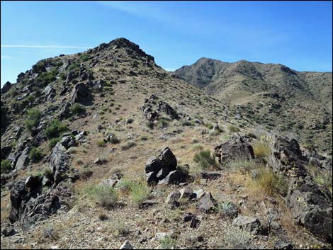 Bonelli Peak