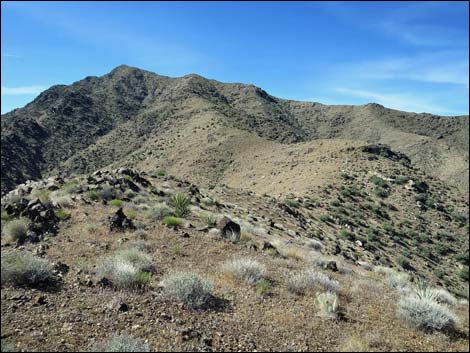 Bonelli Peak