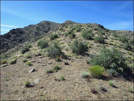 Bonelli Peak