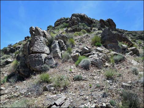 Bonelli Peak