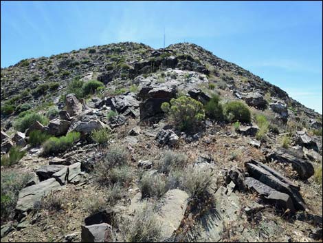 Bonelli Peak