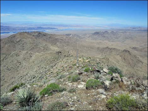 Bonelli Peak